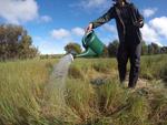 Field work in Ridgefield, Australia